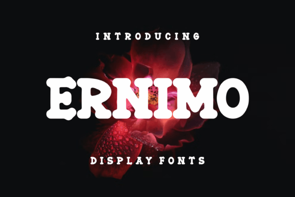Ernimo: A Bold Font for Creative Campaigns
