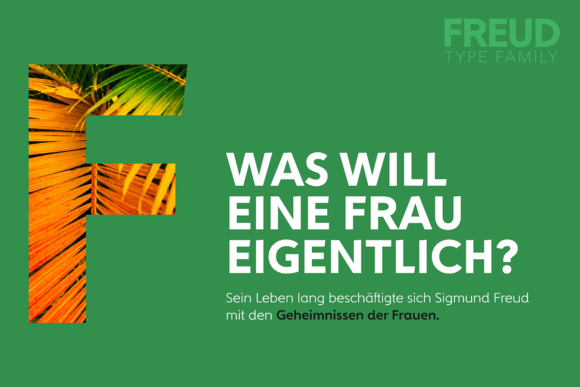 Freud: A Bold Sans Serif for Web Design